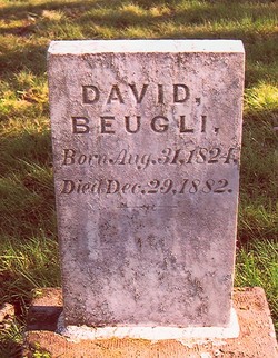 Photograph of David Beugli's tombstone in Oregon