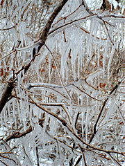 Photograph of icicles at Mesa Verde National Park